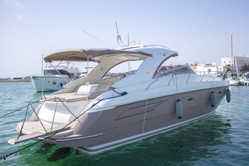 BLU MARLIN 13.50 (2005)