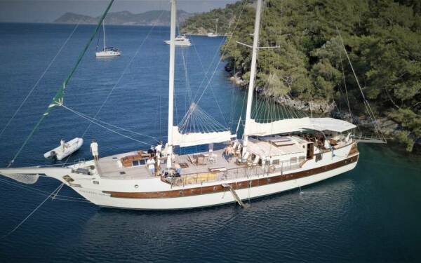 AMAZON SOLO COBAN TURKEY