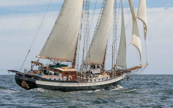 TREE OF LIFE Luxury sailing yacht