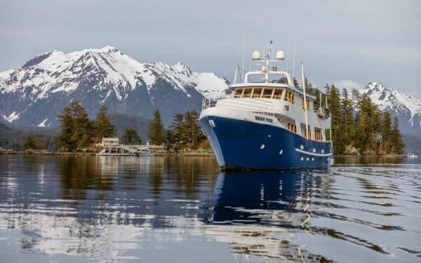 BEAR PAW Catamarán de lujo