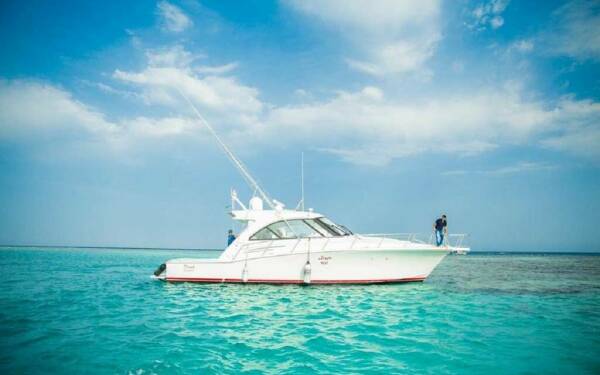 Dirak Luksusowy katamaran