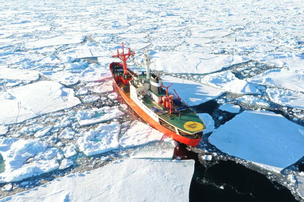 ARGUS Luxusný katamarán