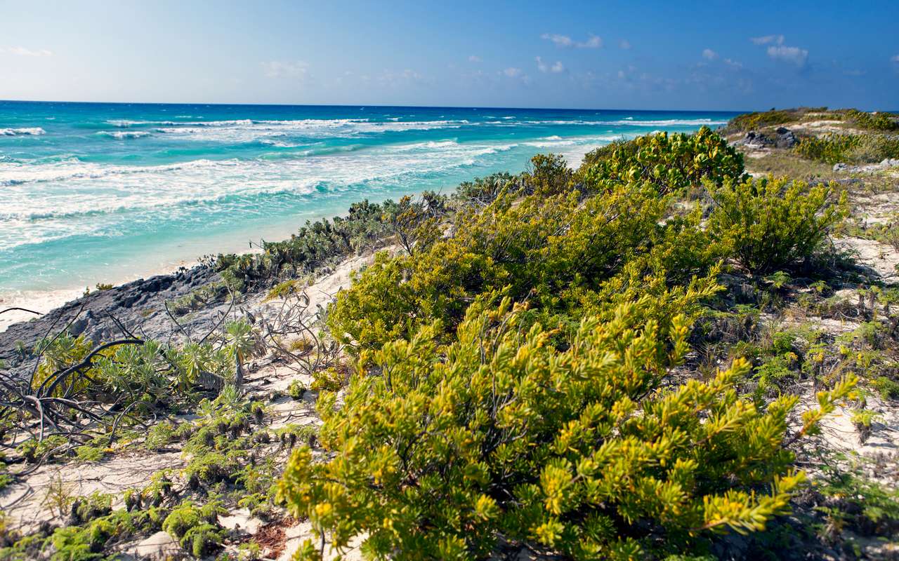 Antigua - ID 480