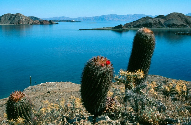 Cómo llegar: La Paz