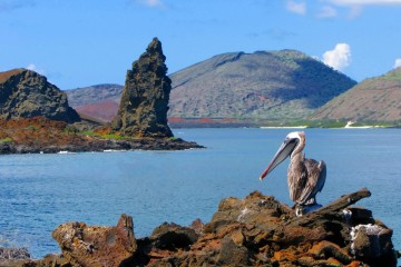 Rejs żeglarski: z San Blas na Wyspy Galapagos