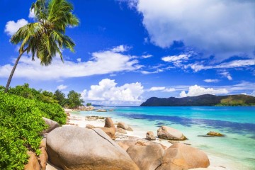 Catamaran Cruise in the Seychelles