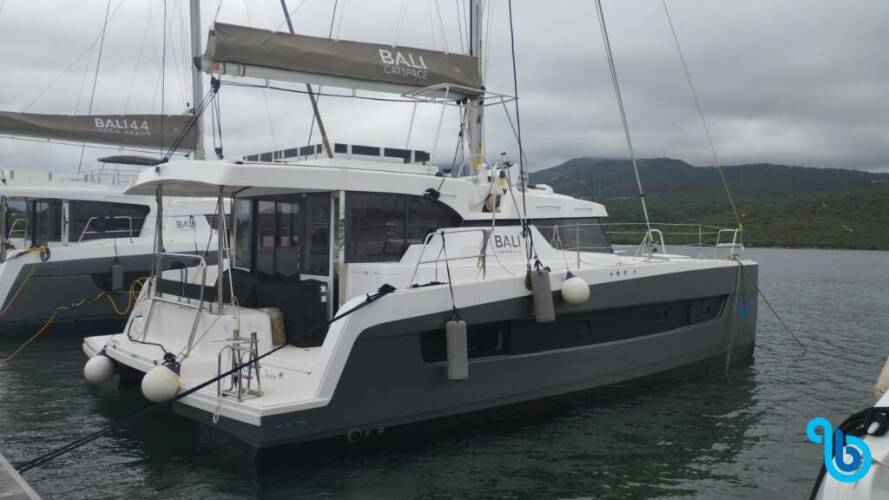 Bali Catspace Tursiops