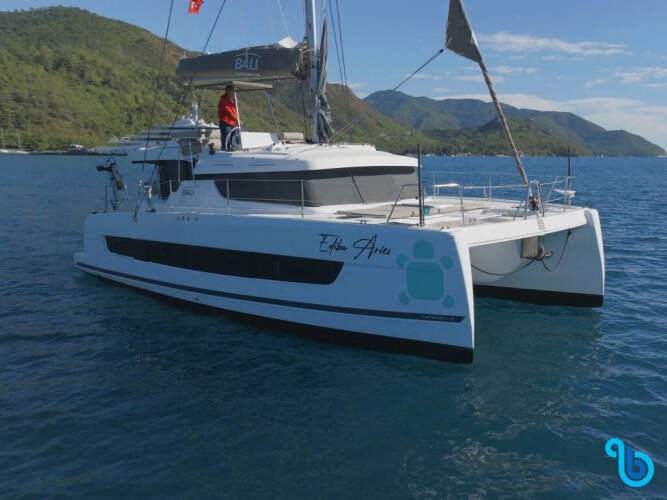 Bali Catspace | Aries