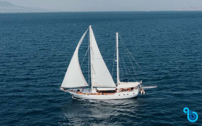 Beyaz Lale Beyaz Lale