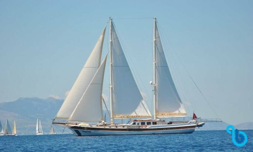 Caner 4 | Caner 4