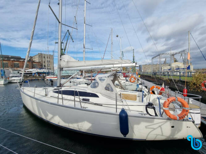 Delphia 40.3 | Madera