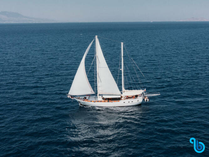 Gulet Beyaz Lale Bevaz Lale