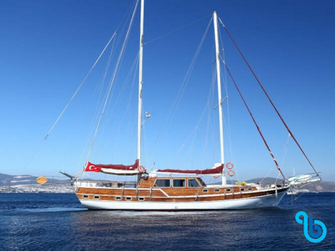 Gulet-Perrinita Perrinita