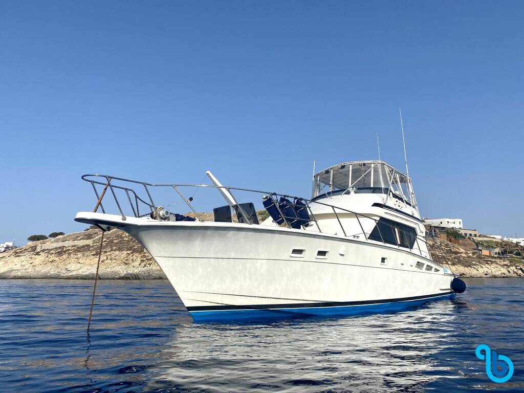 Hatteras 50 Convertible, Tipejyas