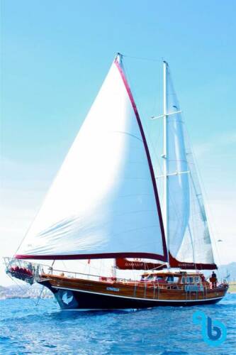 Il Fratello Il Fratello