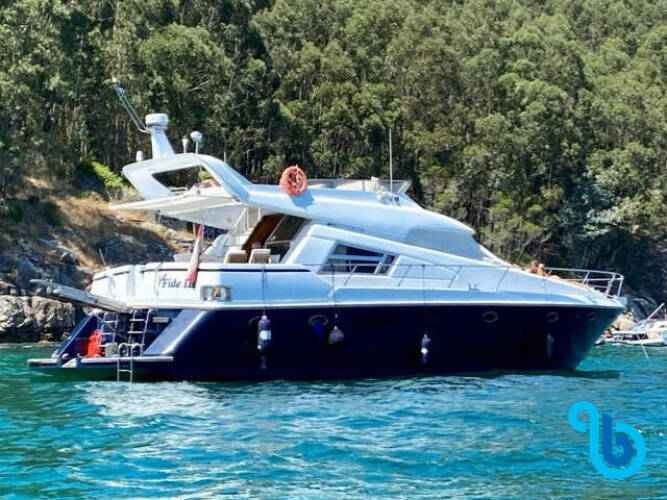 Johnson 56 Fide Tres