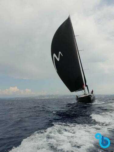 More 55 | Manta Ray - Black Edition