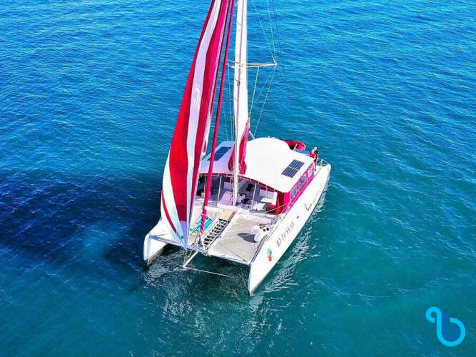 Ocean Voyager 53 | NUI