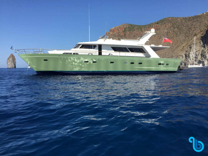 Pegasus 80 | Teddy Bear