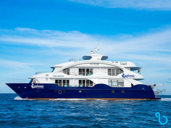 Endemic Luxusný katamarán