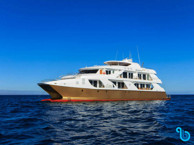 Power Catamaran B Elite