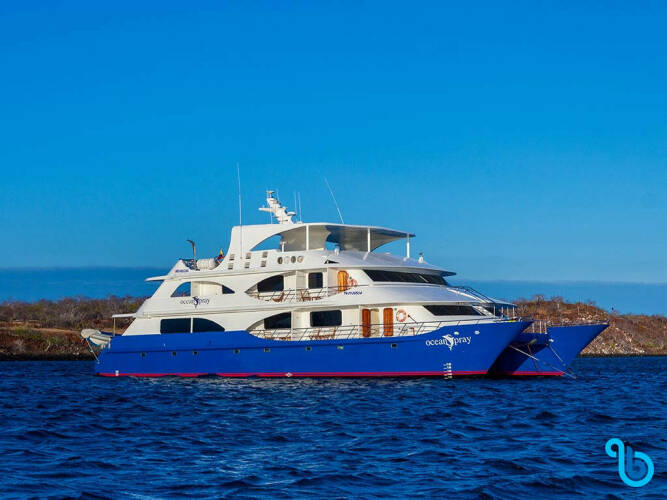 Power Catamaran C | Ocean Spray