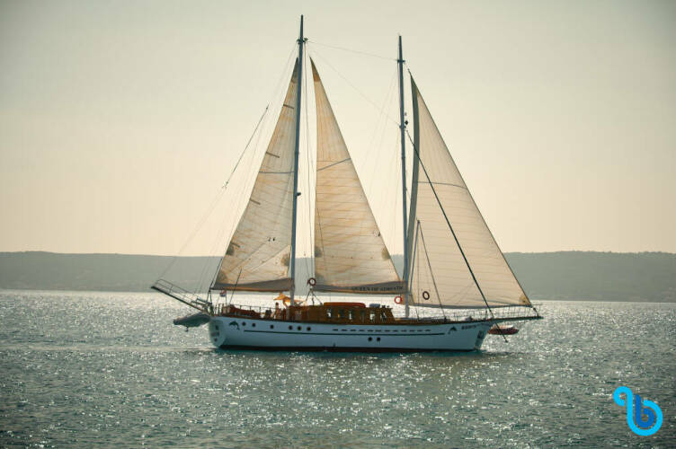 Queen of Adriatic QUEEN OF ADRIATIC