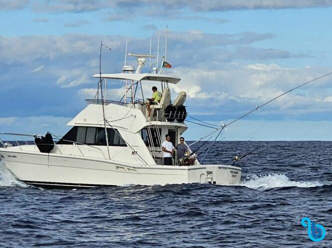 Riviera 39 Open Flybridge | Punta Europa