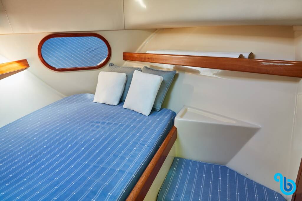 Rodman Fly 870, Tampa Hiru