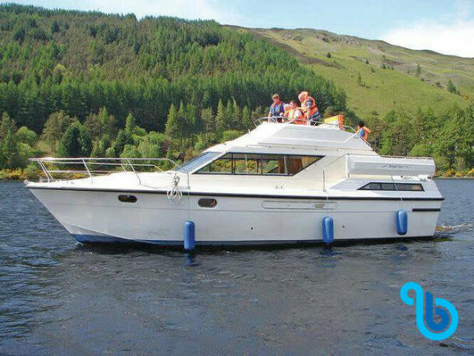 Royal Star WHS Royal Star WHS - Budget 1