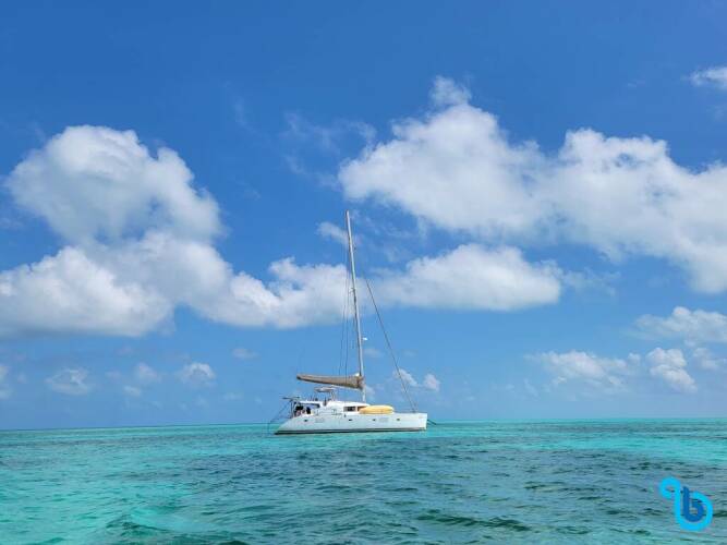 Saba 50 | Discover