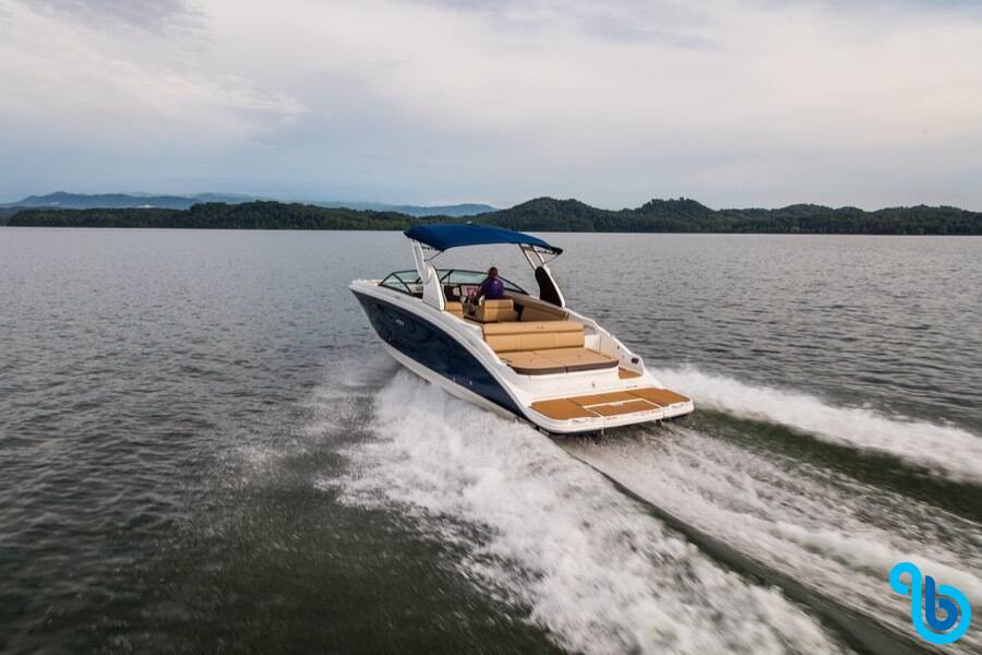 Sea Ray SDX 270, Happy Hours