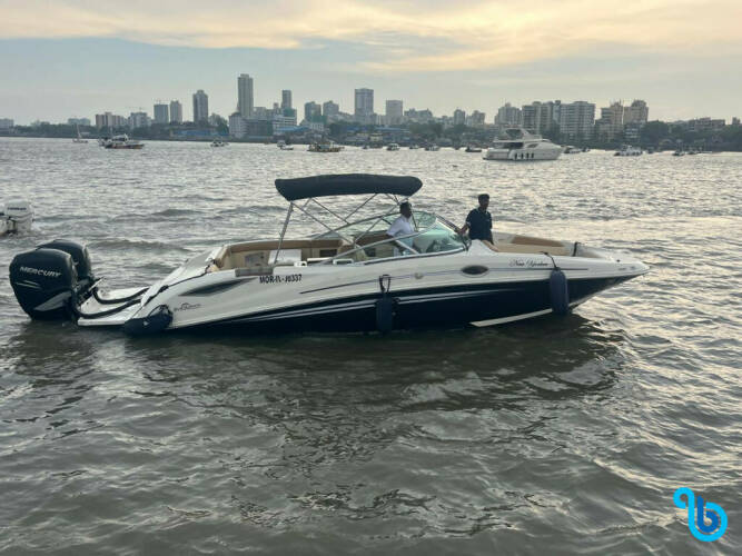 Sea Ray SDX 290 | New Yorker