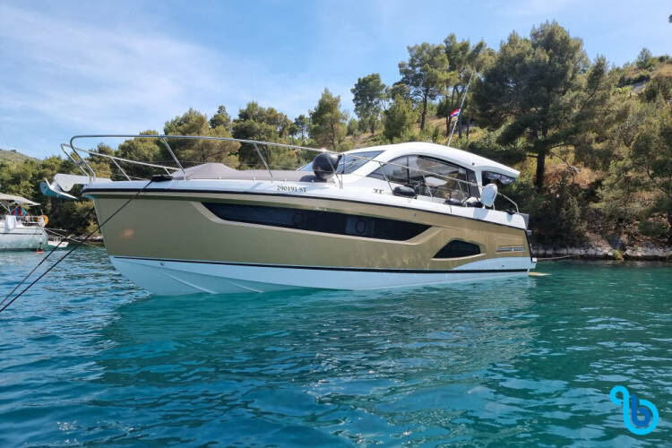 Sealine C390 | TIRELESS