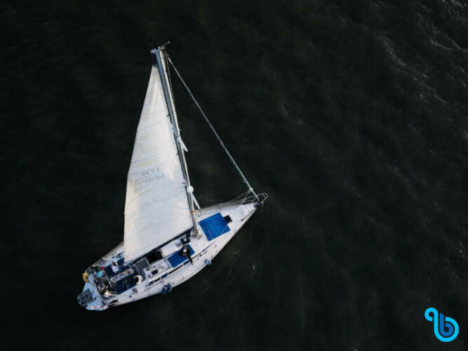 Sun Legende 41 Lili Marleen