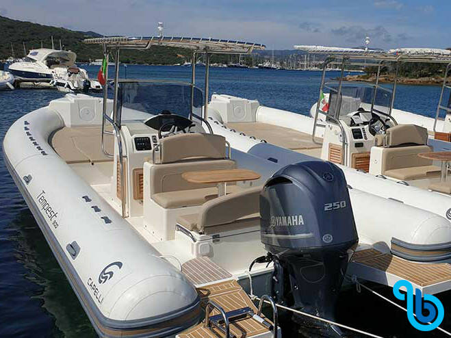 Tempest 900, Maxi Rib